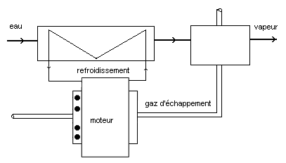 CogenBeauRochas